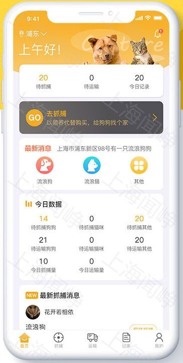 解决城市周边流浪动物难题，定制APP帮助流浪动物回家
