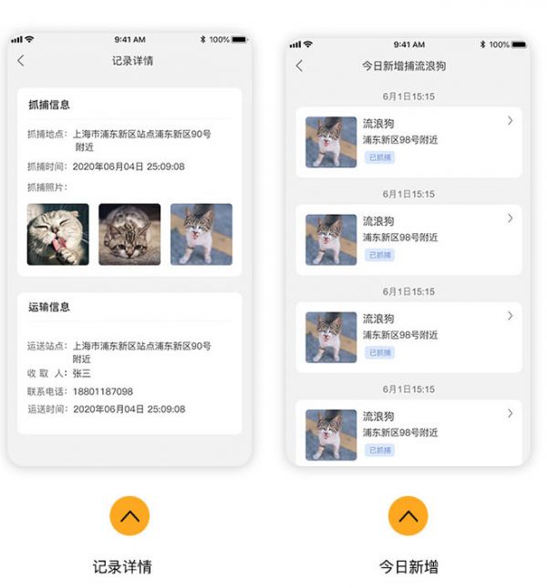 解决城市周边流浪动物难题，定制APP帮助流浪动物回家
