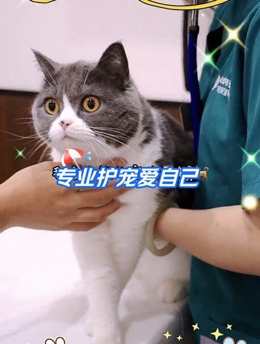 医术超赞 医心更美~