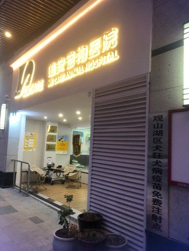 唯安，享受专业宠物服务