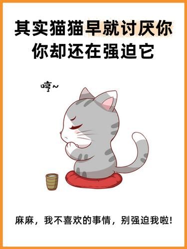 猫猫讨厌你五个的表现，快来哄！