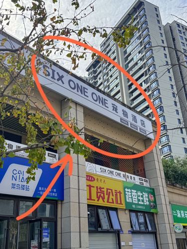 后悔来晚了！毛孩子寄养！太贴心了！