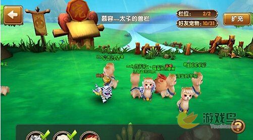 全民闯天下宠物喂养方法详细解析[多图]图片4
