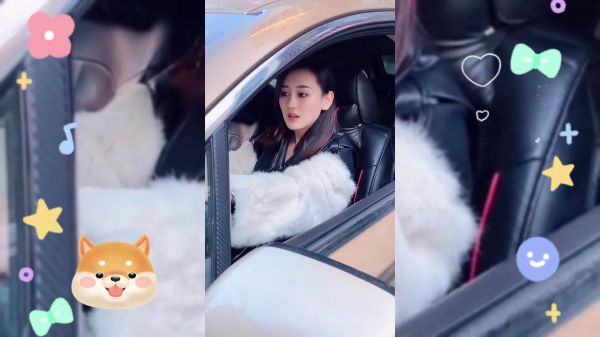 我为什么挪车