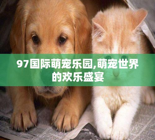 97国际萌宠乐园,萌宠世界的欢乐盛宴