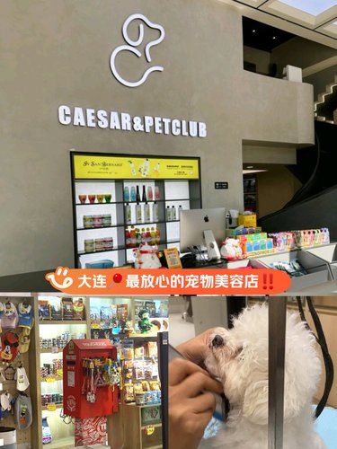 大连最放心的宠物美容店‼️ 