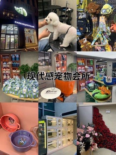 大连新开的萌宠会所！