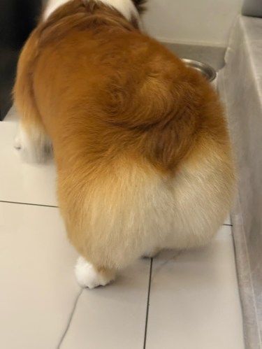 大连这家，美容师说屁股剪的不圆不要钱……