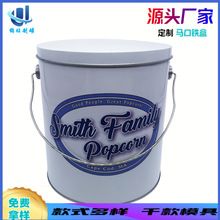 马口铁套罐宠物粮食储存盒猫粮狗粮罐宠物粮食专用密封罐厂家直供