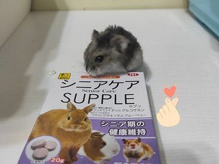 鼠到中年，也要保养