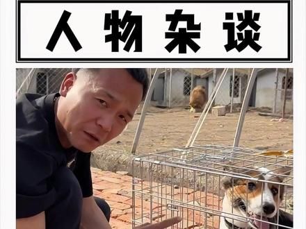 潘宏园区简直就是柯基的克星，来到这里的柯基仿佛自带诅咒#潘宏爱玩狗 #潘宏 #柯基 #离谱