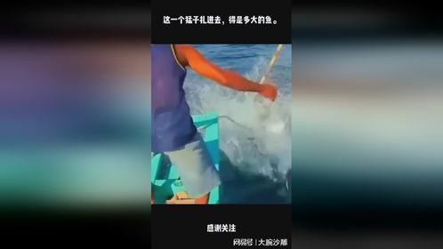 这一个猛子扎进去，得是多大的鱼。