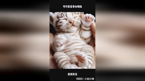 可可爱爱掌心明珠