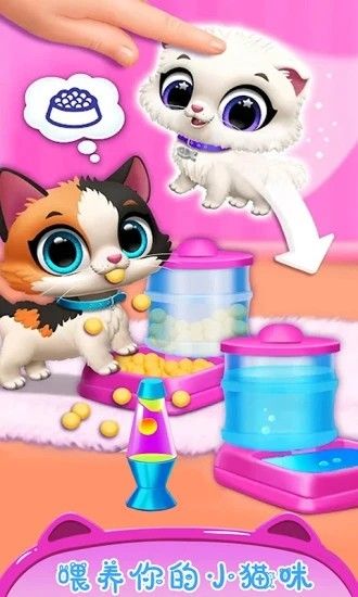 公主宠物小猫咪最新版下载