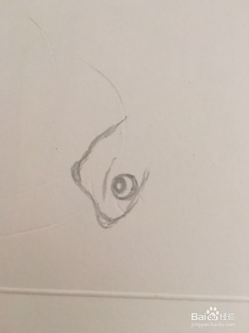 小壁虎的简笔画怎么画