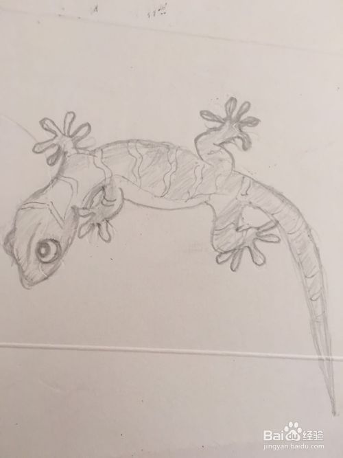 小壁虎的简笔画怎么画