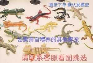 仿真爬行动物蜥蜴壁虎学生宠物小型无毒爬宠可养异宠宠物守宫