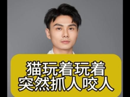 从一开始就要养好这个习惯#科学养宠攻略 #猫行为