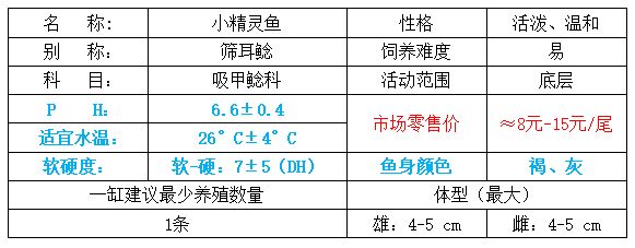 小精灵鱼怎么繁殖