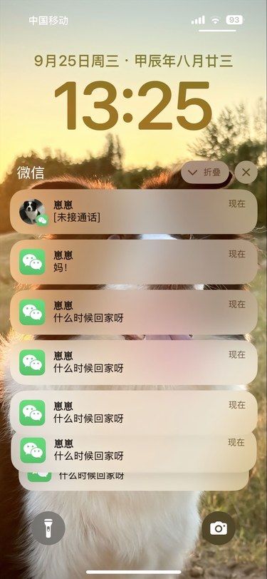 如果小狗也有手机