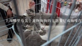 上海哪里有关于宠物狗狗的主题餐厅或咖啡厅吗？
