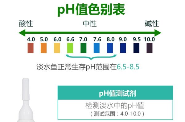ph 值对养鱼有什么影响?一个鱼友的真实案例分享