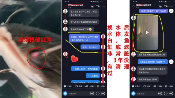 ph 值对养鱼有什么影响?一个鱼友的真实案例分享