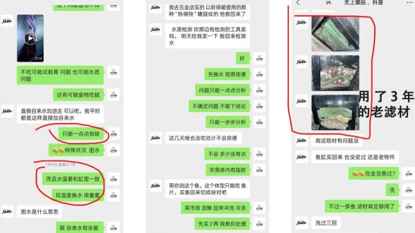 ph 值对养鱼有什么影响?一个鱼友的真实案例分享