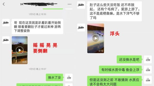 ph 值对养鱼有什么影响?一个鱼友的真实案例分享