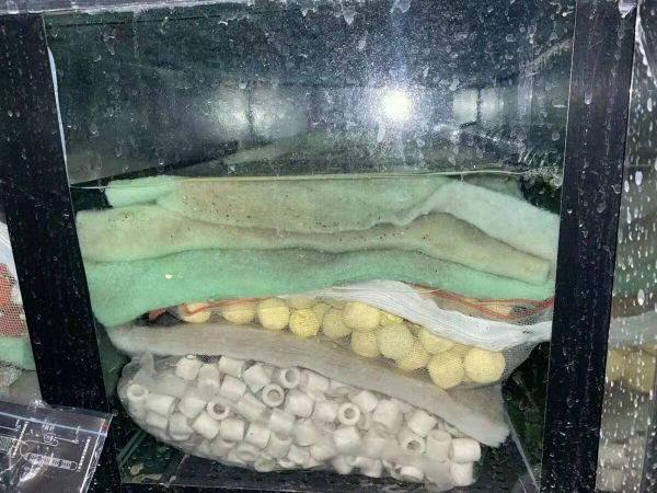 ph 值对养鱼有什么影响?一个鱼友的真实案例分享
