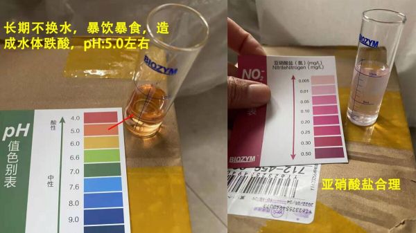ph 值对养鱼有什么影响?一个鱼友的真实案例分享