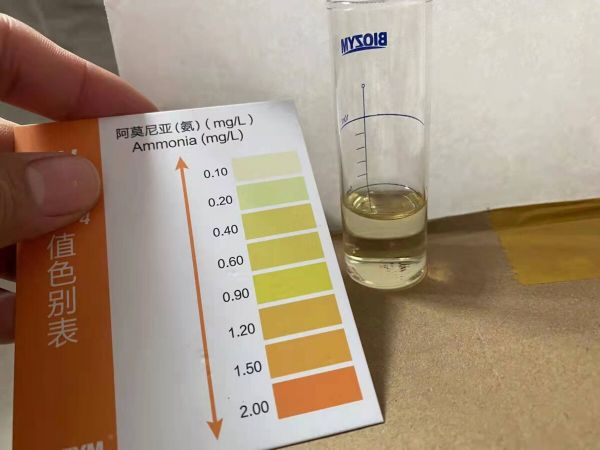 ph 值对养鱼有什么影响?一个鱼友的真实案例分享