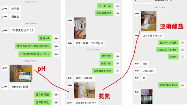 ph 值对养鱼有什么影响?一个鱼友的真实案例分享