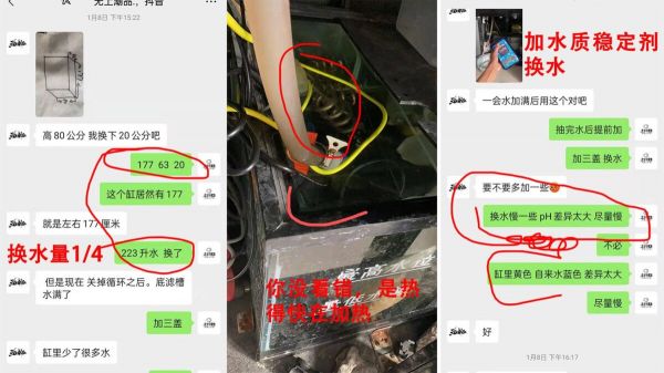 ph 值对养鱼有什么影响?一个鱼友的真实案例分享