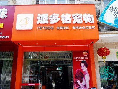 标题解锁创业新蓝海：专业宠物寄养加盟店，携手共创宠物经济的繁荣未来，专业宠物寄养加盟店加盟首选！