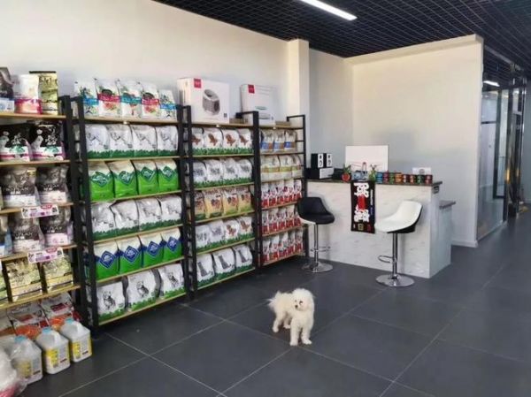 宠物寄养店加盟，宠物寄养店加盟，开启创业新篇章，轻松实现致富梦想！