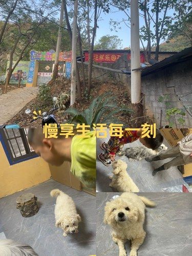 周末探险去哪儿