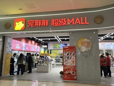 一站式宠物乐园，我在宠胖胖找到了！