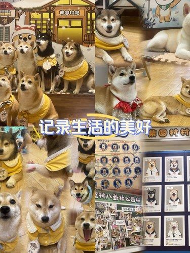 记录第一次来，也是最后一次