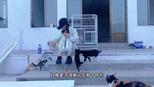 吃个辣片，被一群猫给围了，猫比人更爱吃辣片子~