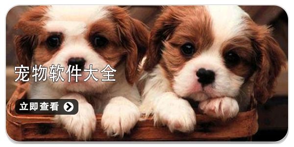 好用的宠物软件推荐 宠物app哪个最好用