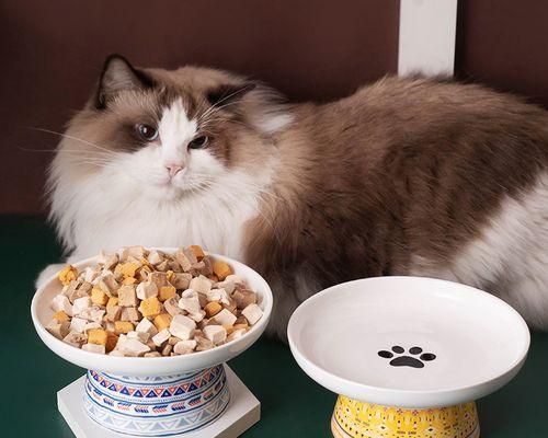 宠物小猫的饮食需求（掌握小猫的猫粮摄入量）