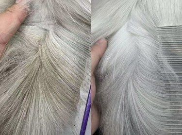 长毛猫洗澡前后的差别