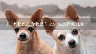 宠物蛇的食物是什么？每天得吃几顿？