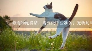 养宠物蛇得话，需要做哪些准备？宠物蛇可以活多久？