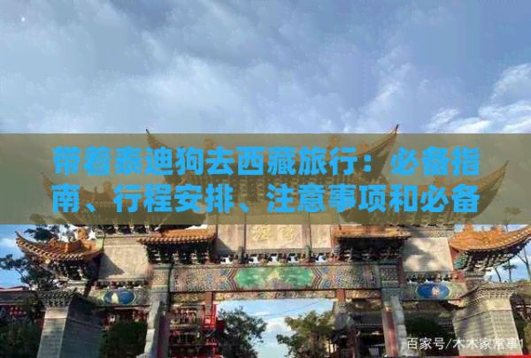 带着泰迪狗去 旅行：必备指南、行程安排、注意事项和必备装备
