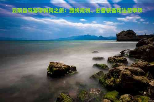 云南自驾游带狗狗之旅：路线规划、必备装备和注意事项