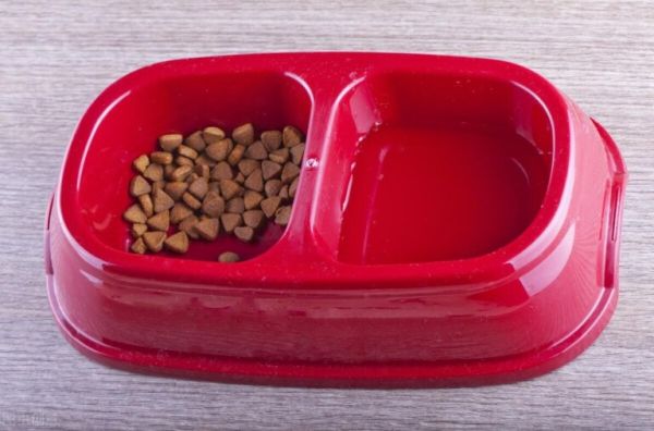 猫换粮后拉稀还继续喂吗?猫咪换粮的正确技巧