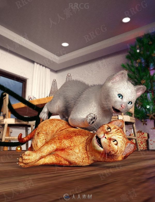 可爱家养猫咪宠物互动姿势3D模型合集