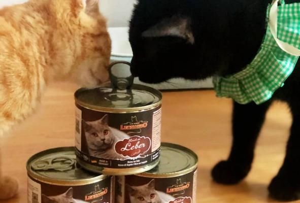 猫咪的罐头食品（以罐头为主的宠物饮食选择）